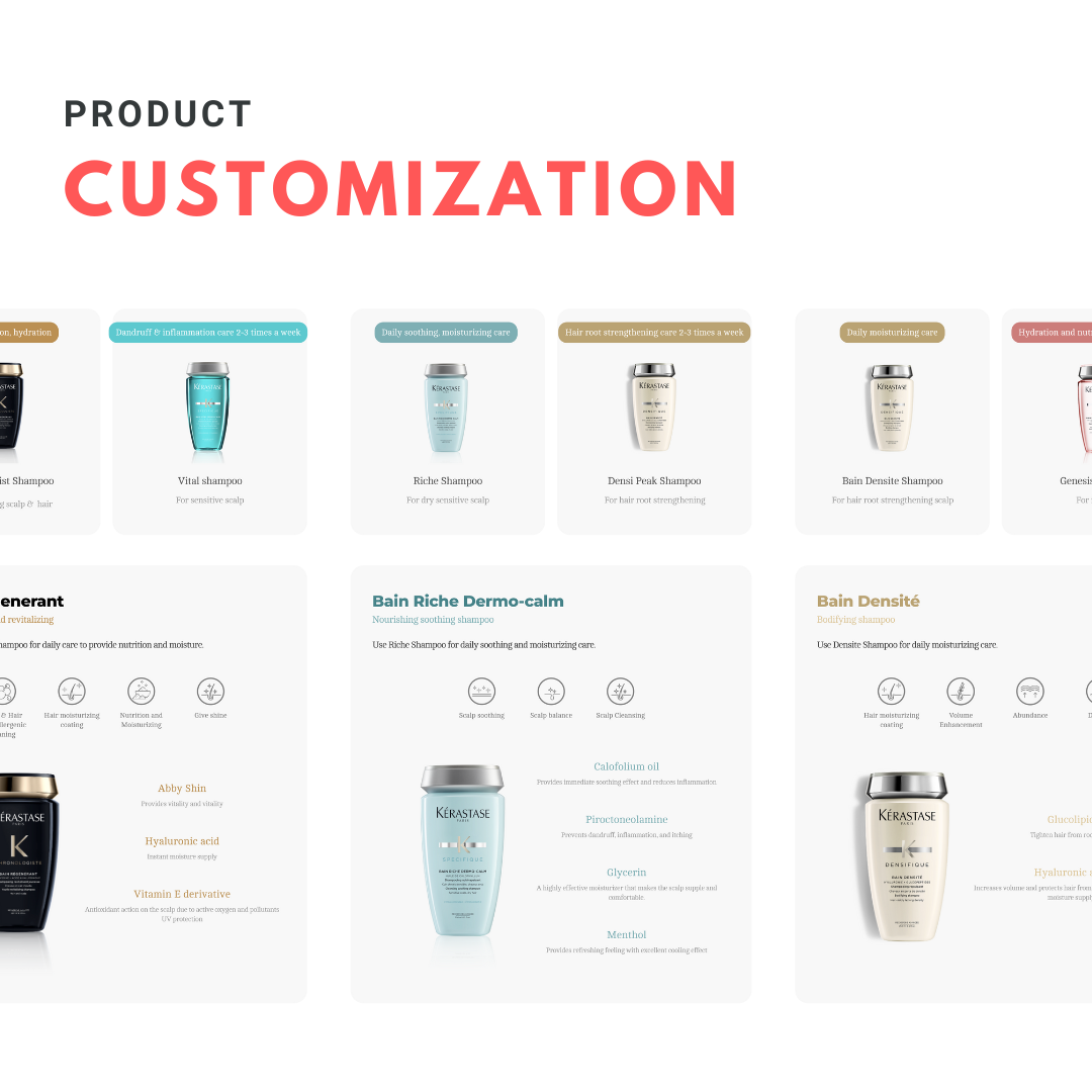 Software Product Customization upgrade