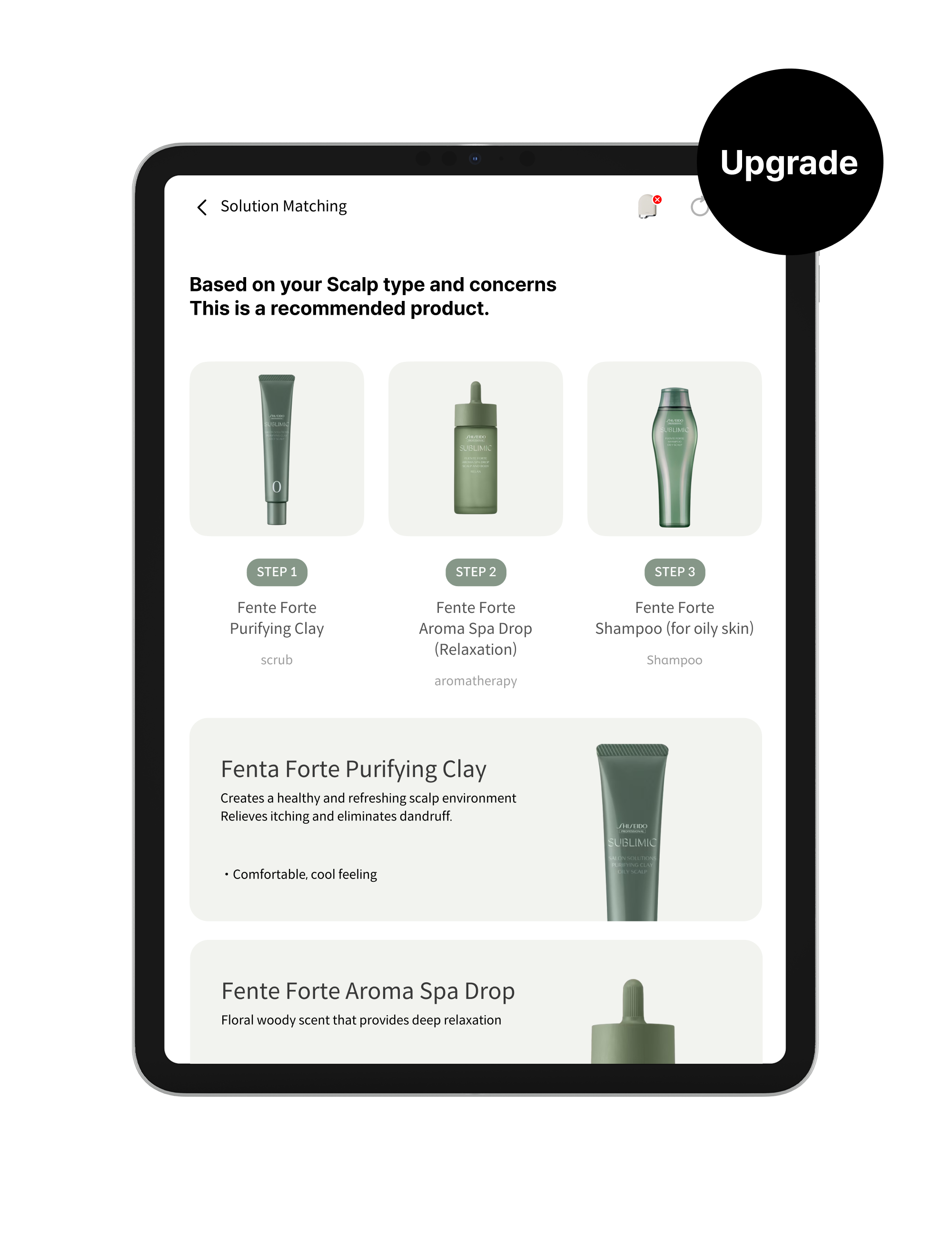 Software Product Customization upgrade