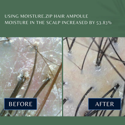 Moisture.zip Hair Serum Ampoule