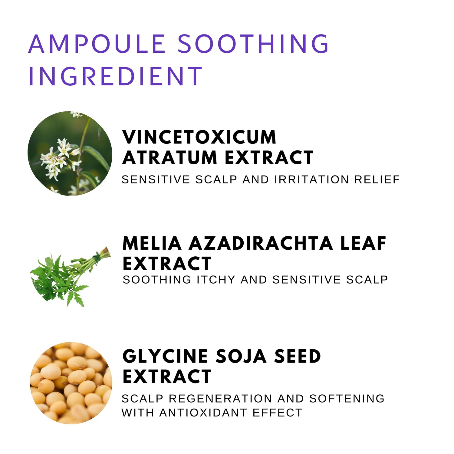 Nourisher.zip Hair Serum Ampoule