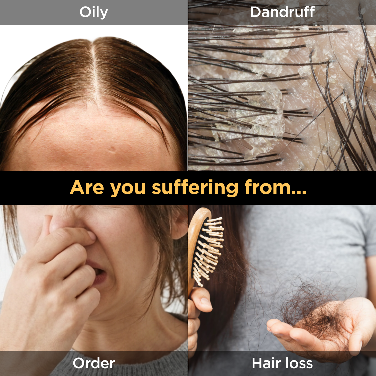 NoMoreOil Shampoo 12.17 fl oz